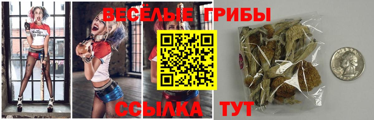 Псилоцибиновые грибы ЛСД  дарнет шоп  Ртищево  Вход с VPN  Галлюциногенные грибы GOLDEN TEACHER 